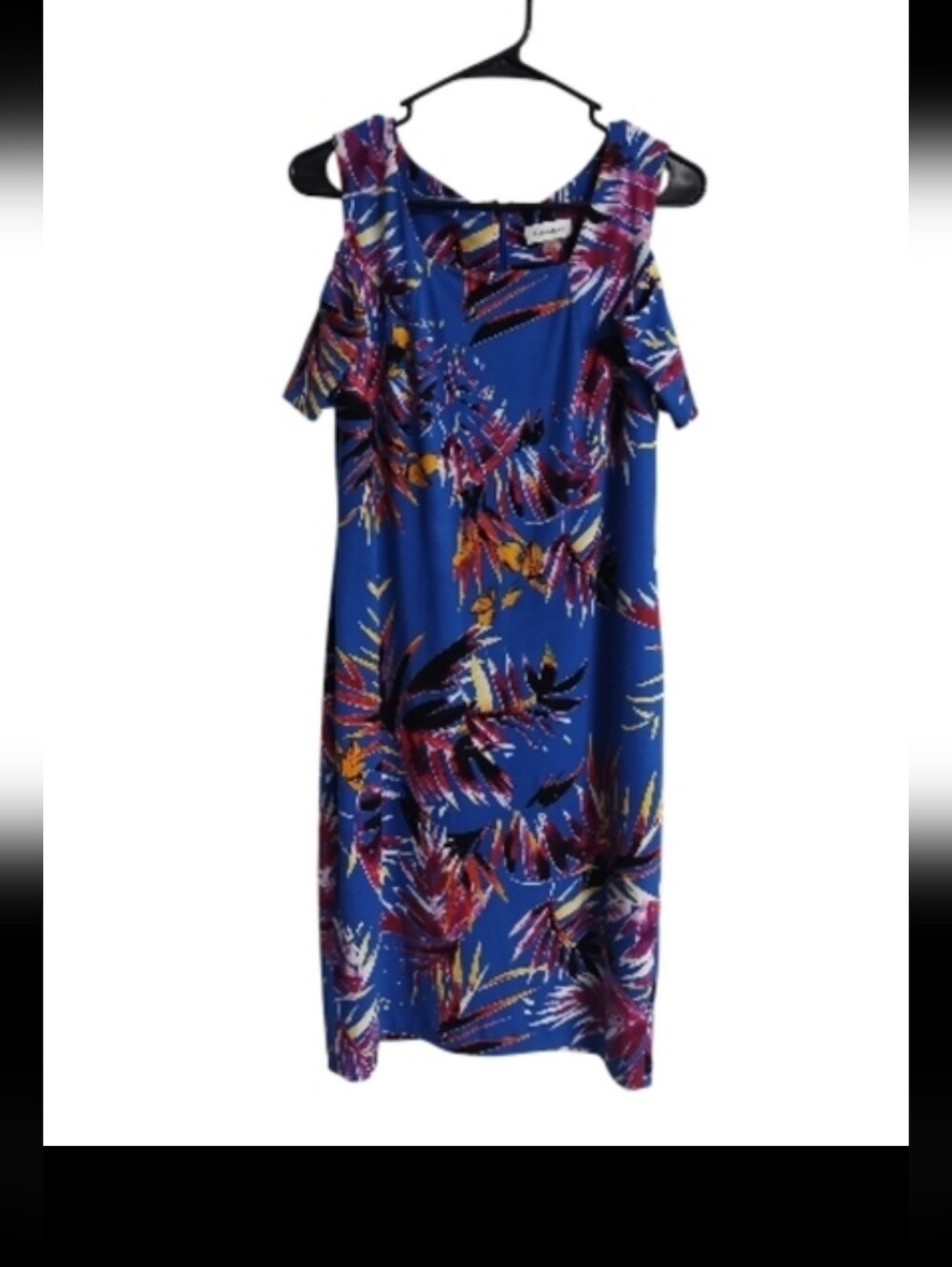 Calvin Klein Blue and Red Floral Dress